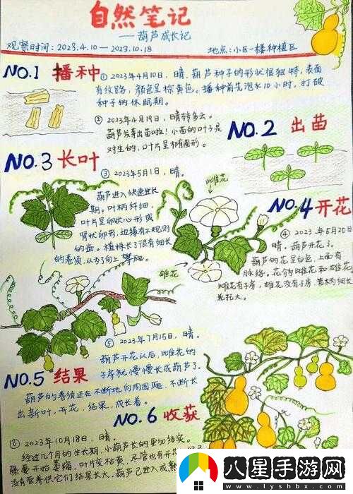 寶寶對準坐下來(lái)自己弄的意義