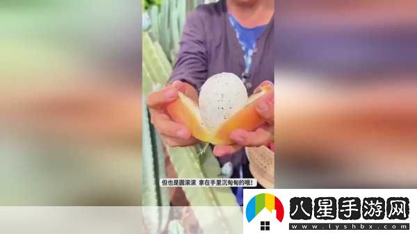 我愛(ài)搞52GAPP探索52G應用讓你愛(ài)上科技與生活的無(wú)縫連接！