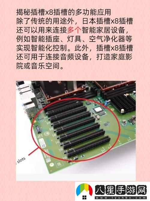 日本插槽X8是正規還是仿