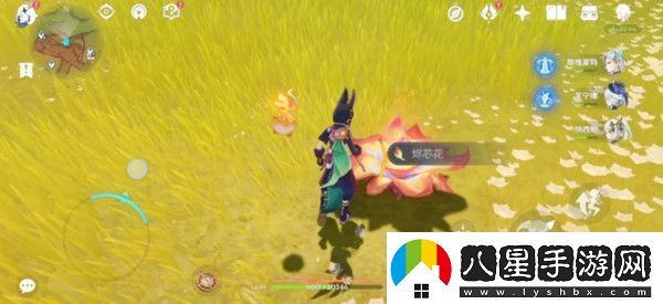 原神硫晶支脈山上的寶箱位置攻略