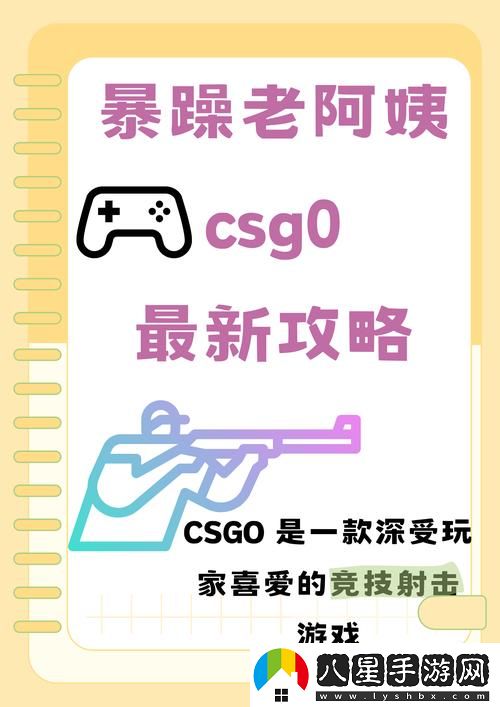 暴躁老阿姨csgo