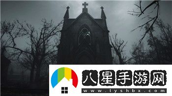 光明領(lǐng)主后期陣容的樣式分析與優(yōu)化策略