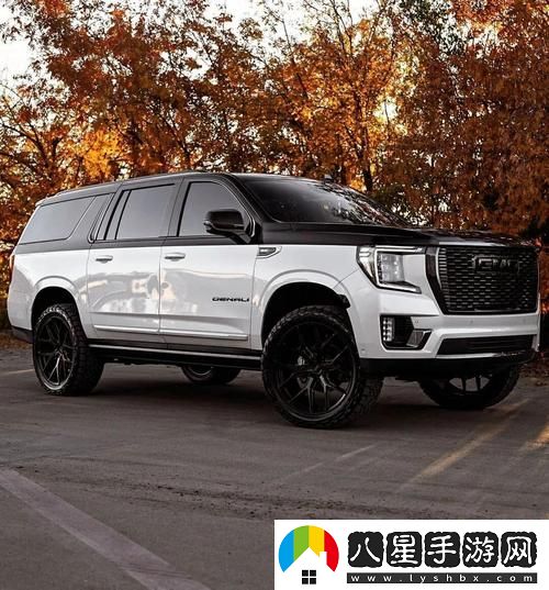 國產(chǎn)歐美大尺寸SUV免費不花錢(qián)