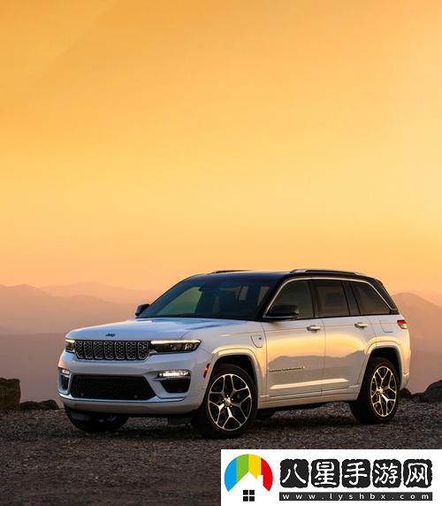 歐美大尺寸SUV免費