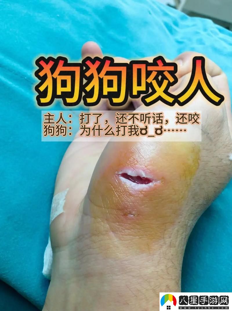 你知道“狗狗和人咬配方大全視頻”能帶給你和愛(ài)犬怎樣的飼養靈感嗎