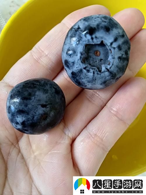 成色18K.8.35MB藍莓到底有什么獨特之處