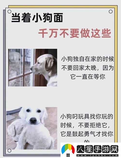 在社交與溝通的未來(lái)中