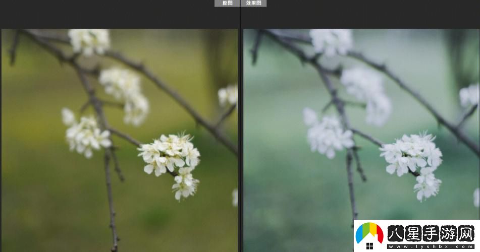 免費PS大片段視頻調色