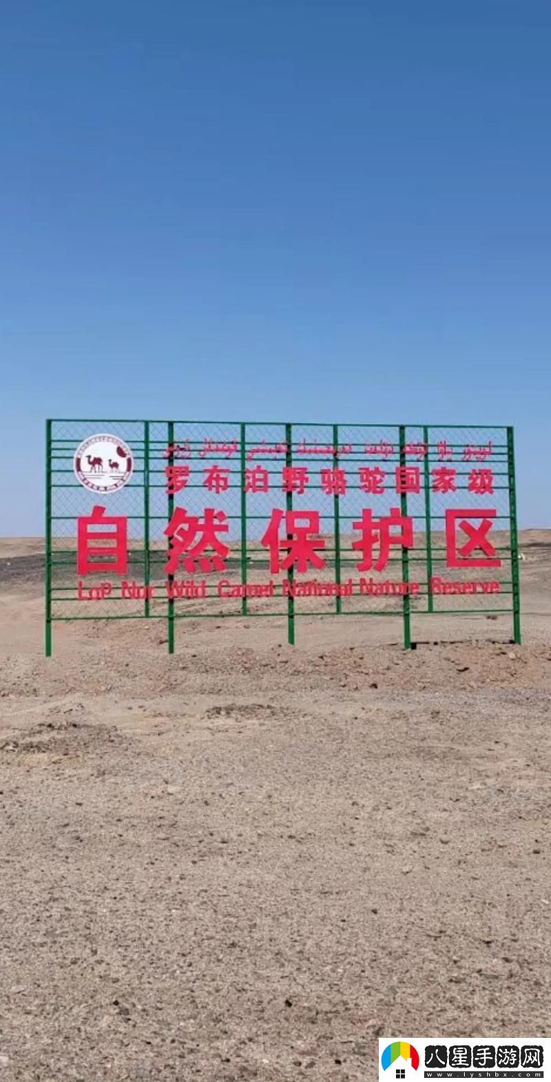 無(wú)人區一區二區區別是什么紅桃流暢不卡頓