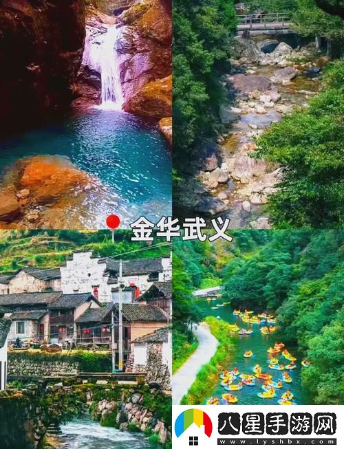 如何在伊春園2023入口直達大象