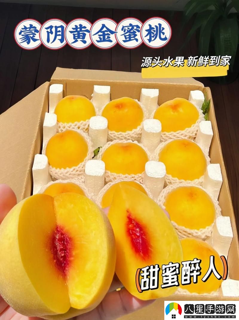 蜜桃國精產(chǎn)品二三三區