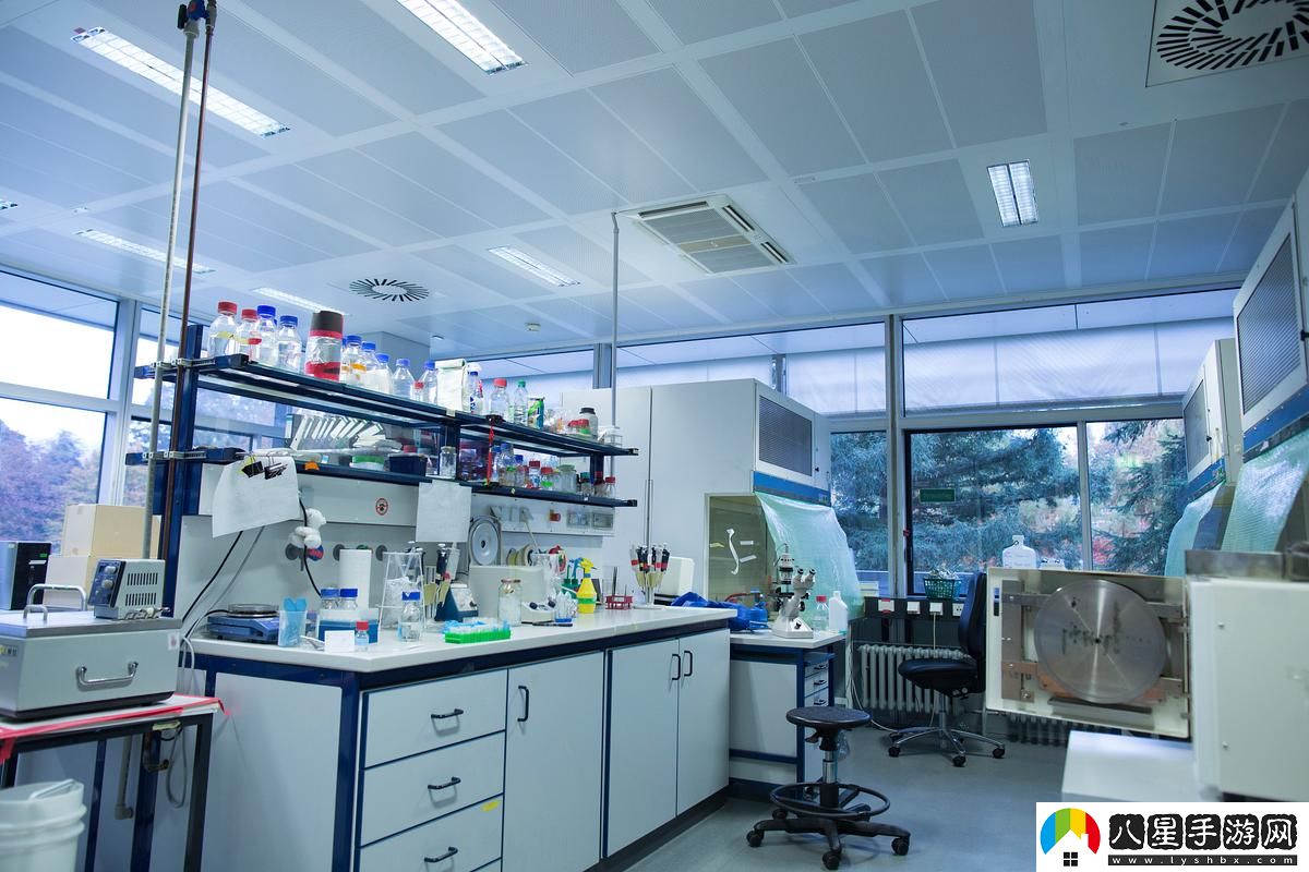 fi11四葉草實(shí)驗室2024