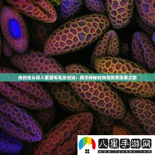 他的舌頭探進(jìn)蜜源毛毛蟲(chóng)說(shuō)說(shuō)