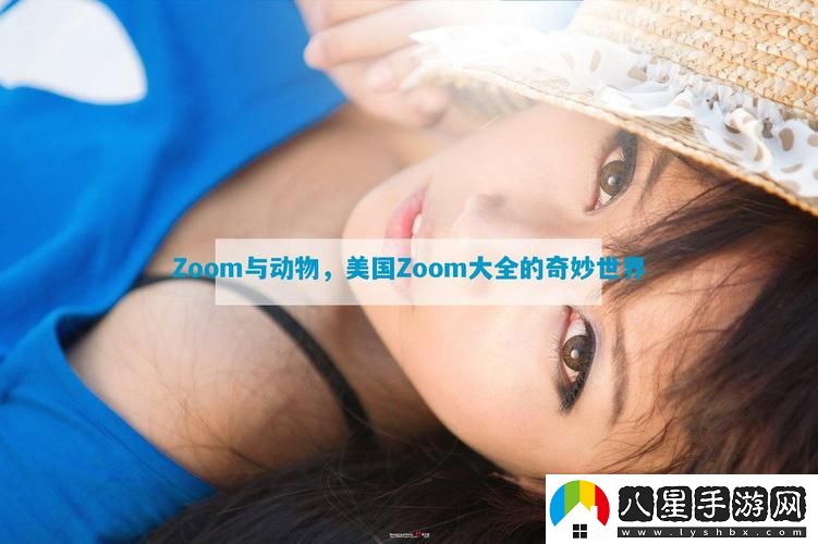 ZOOM與動(dòng)物ZOOM大全美國
