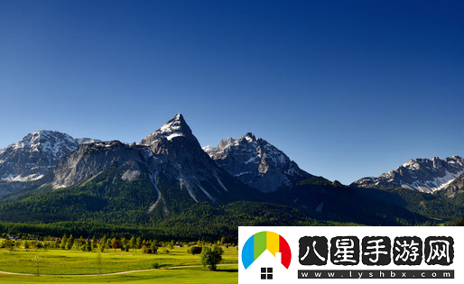 麗拍相機官方下載