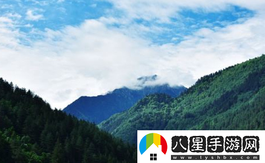 可修改水印相機免費下載 可修改水印相機免費下載