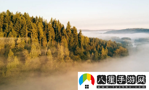 主題壁紙大全免費主題桌面