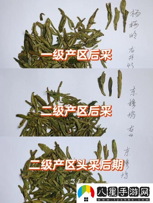 三級產(chǎn)區和二級產(chǎn)區的區別與聯(lián)系