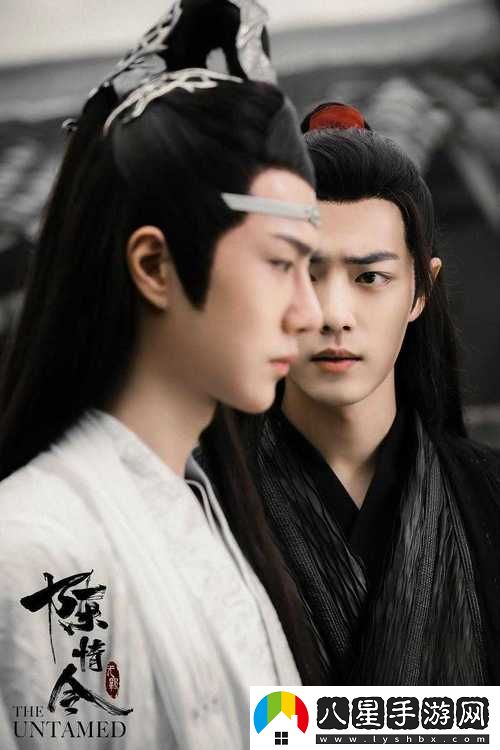 小小水蜜桃電視劇陳情令引發(fā)熱議