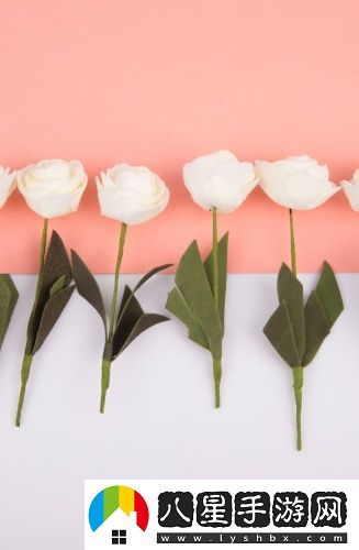 老老司機小區二區三區4區免費觀(guān)看最新版